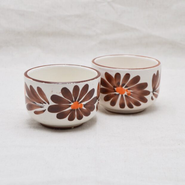 Les petits pots fleurs marrons