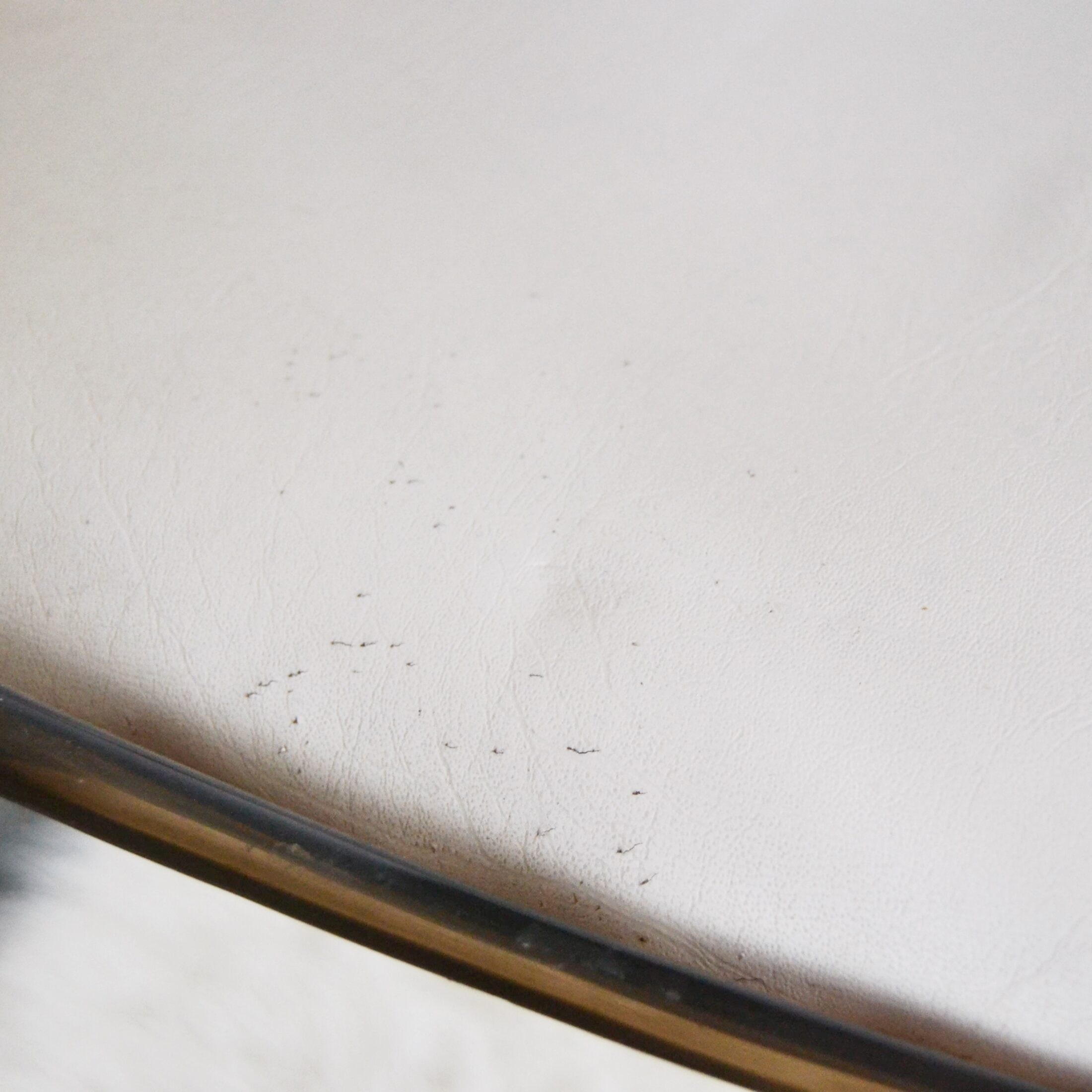 La chaise en plexiglas