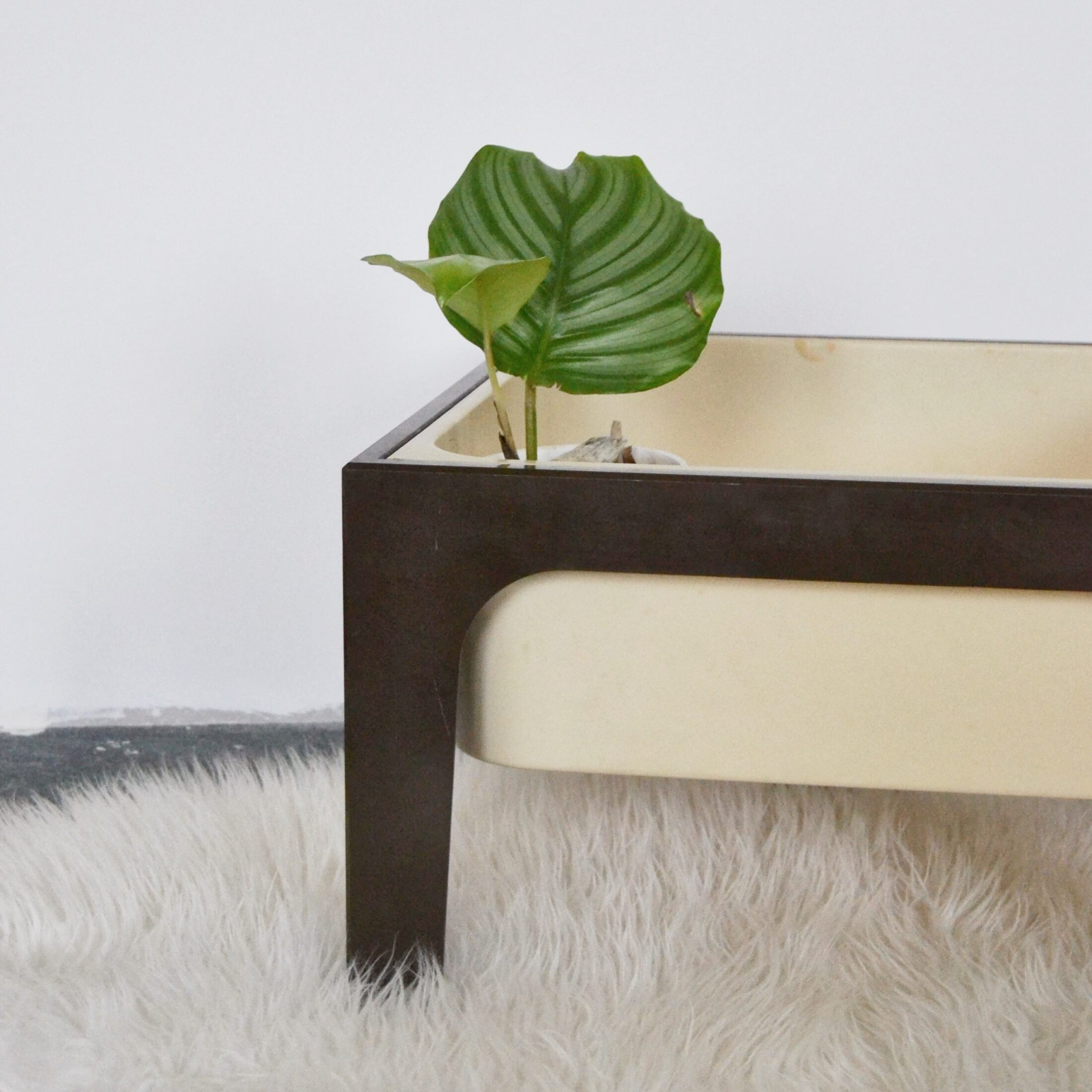 La jardinière vintage